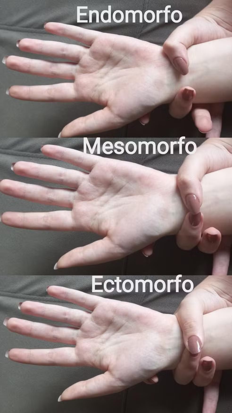 Como saber qual seu biotipo: ectomorfo, mesomorfo ou endomorfo